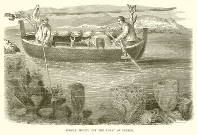 Schwammfischen vor der Küste Griechenlands von English School