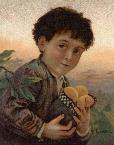 Gestohlene Früchte von English School