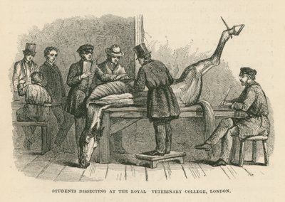 Studenten sezieren am Royal Veterinary College, London von English School