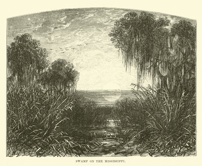 Sumpf am Mississippi von English School