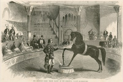 Das amerikanische Pferd Black Eagle im Alhambra Palace (Alhambra Theatre), Leicester Square, London von English School
