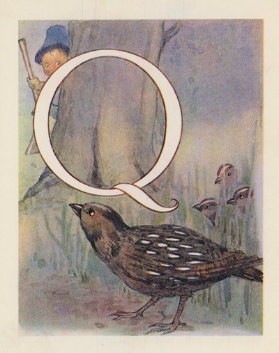 Das Tier-ABC: Buchstabe Q, Wachtel von English School