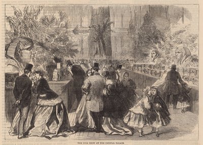 Die Vogelschau im Crystal Palace von English School
