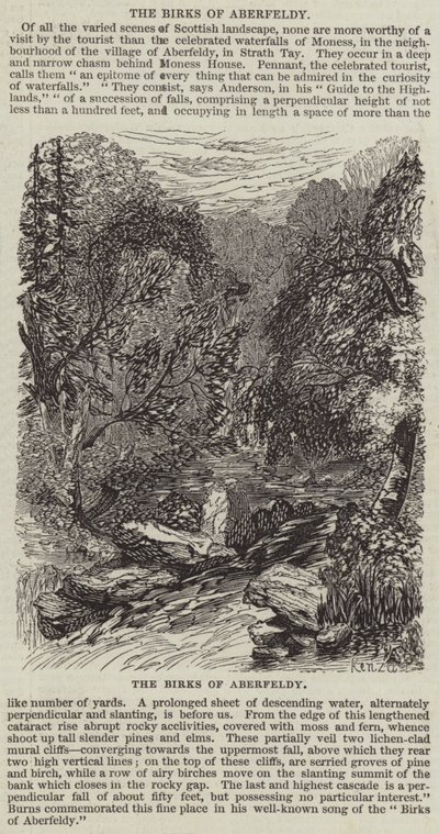 Die Birks von Aberfeldy von English School