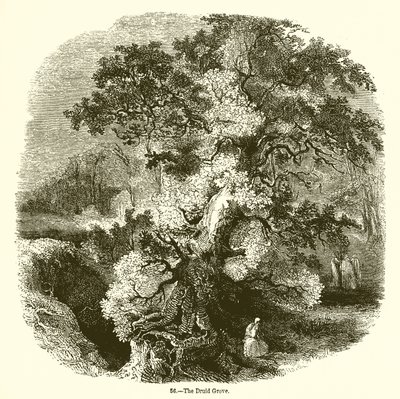 Der Druidenhain von English School