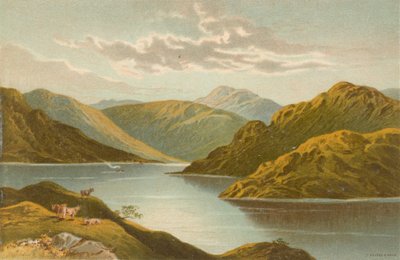 Der Eingang zu Loch Goil von English School