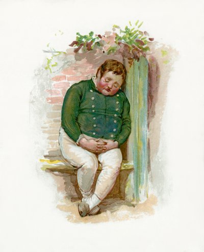 Der dicke Junge, Pickwick-Papiere von English School