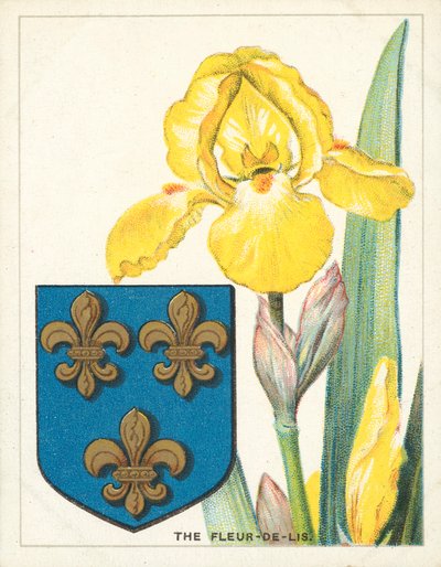 Die Lilie (Chromolithografie) von English School