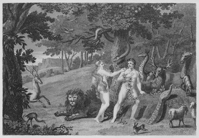 Die verbotene Frucht, Genesis, III, 6 von English School