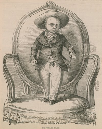 Der Friesland-Zwerg von English School