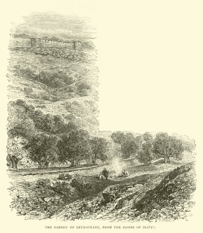 Der Garten Gethsemane, von den Hängen des Ölbergs aus von English School