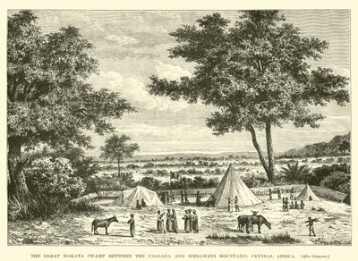 Der Große Makata-Sumpf zwischen den Usagara- und Simbaweni-Bergen, Zentralafrika von English School