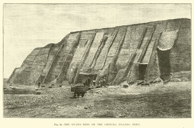 Die Guano-Betten auf den Chincha-Inseln, Peru von English School
