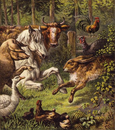 Der Hase und die Schildkröte (Farblithografie) von English School