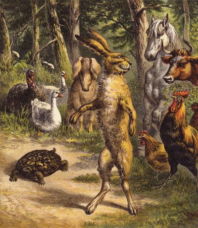 Der Hase und die Schildkröte von English School
