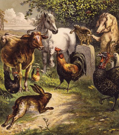 Der Hase und die Schildkröte von English School