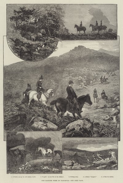 Die Harrier-Woche auf Dartmoor (Gravur) von English School