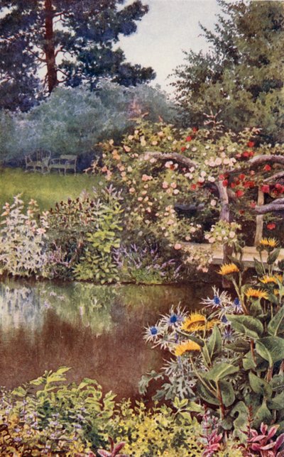 Der Kräutergarten: Kräuter am Wasser von English School