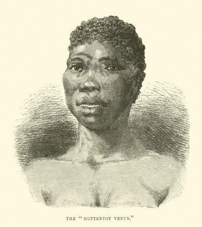 Die Hottentotten-Venus von English School