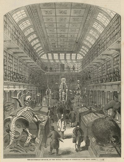 Das Hunterian Museum am Royal College of Surgeons von English School