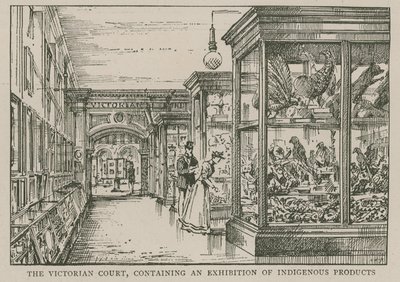 Das Imperial Institute: Der viktorianische Hof, der eine Ausstellung einheimischer Produkte enthält von English School