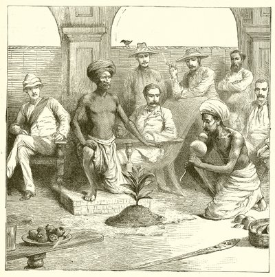 Der indische Pflanzentrick von English School