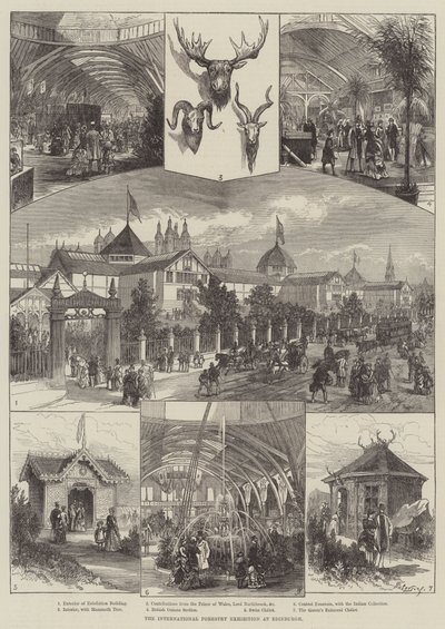 Die Internationale Forstausstellung in Edinburgh (Stich) von English School