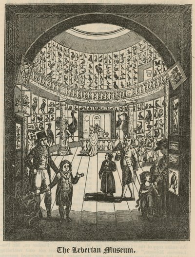 Das Leverian Museum von English School