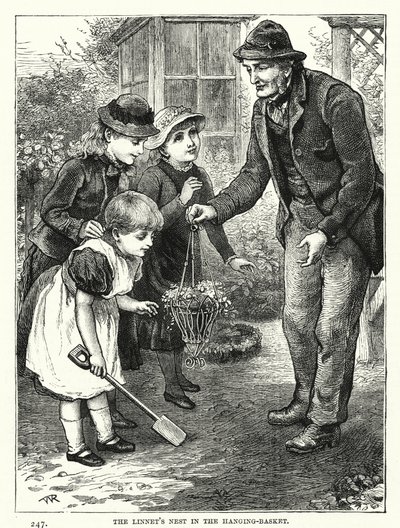 Das Nest des Hänflings im Hängekorb (Gravur) von English School