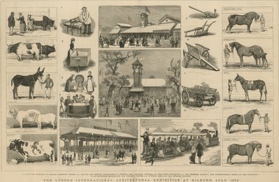 Die Londoner Internationale Landwirtschaftsausstellung in Kilburn, Juli 1879 von English School