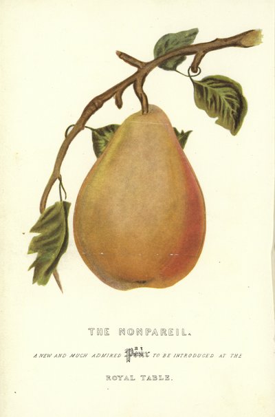 Der Nonpareil von English School