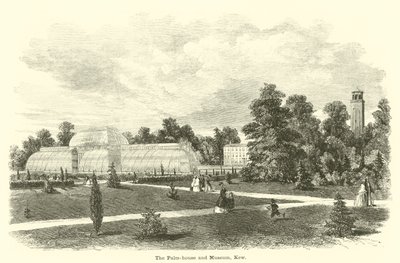 Das Palmenhaus und Museum, Kew von English School