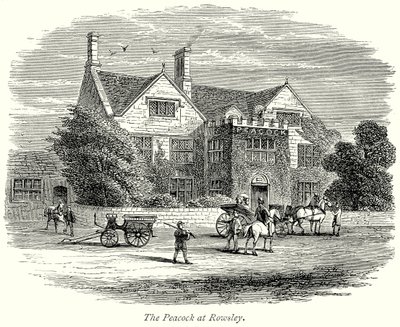 Der Pfau in Rowsley von English School