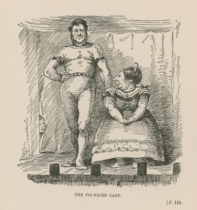 Die Schweinegesichtige Dame von English School