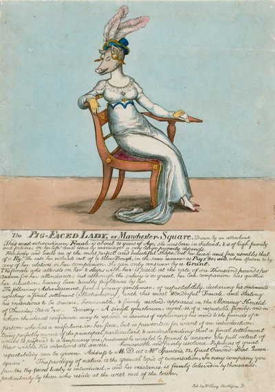 Die Schweinegesichtige Dame von Manchester Square, London von English School