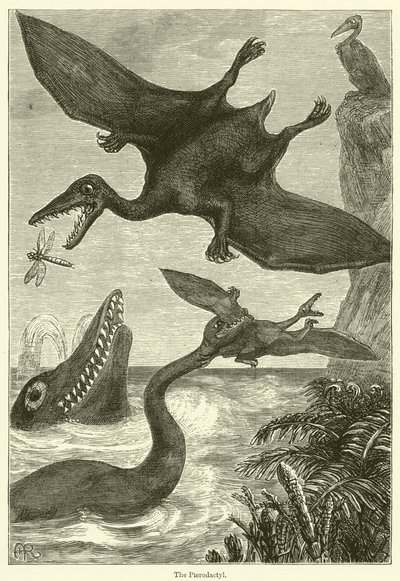 Der Pterodaktylus von English School