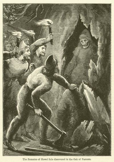 Die Überreste von Howel Sele im Eichenbaum von Nannau entdeckt (Gravur) von English School