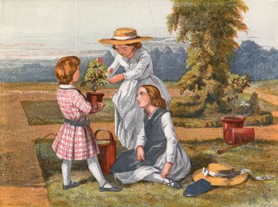 Die Rose von English School