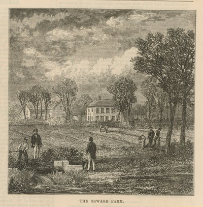 Die Kläranlage von English School