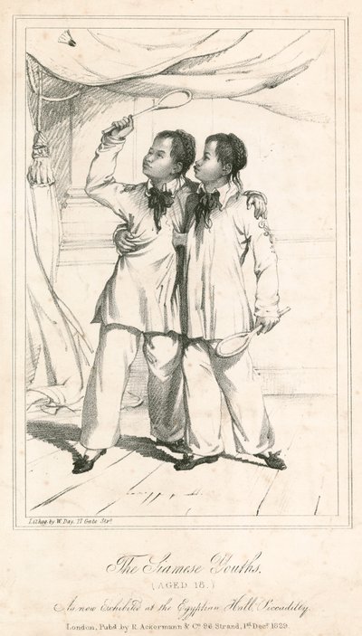 Die siamesischen Jugendlichen (18 Jahre alt), eine neue Ausstellung im Egyptian Hall, Piccadilly von English School