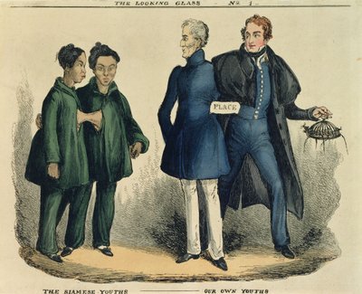 Die siamesischen Jungen - Unsere eigenen Jungen, satirische Karikatur aus The Looking Glass, ca. 1829 (farbige Radierung) von English School