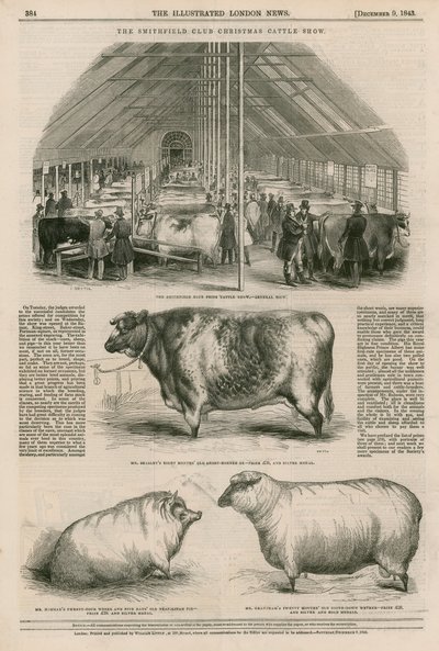 Die Smithfield Club Weihnachtsviehschau von English School