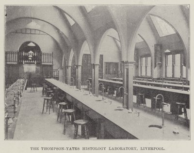 Das Thompson-Yates-Histologielabor, Liverpool (Gravur) von English School