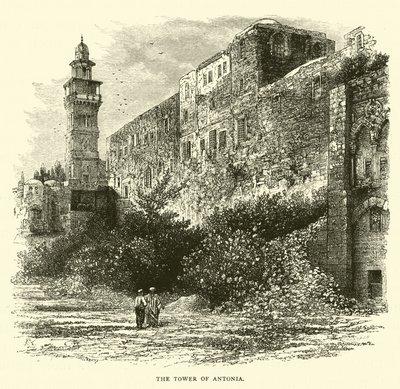 Der Turm von Antonia von English School