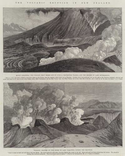 Der Vulkanausbruch in Neuseeland (Gravur) von English School