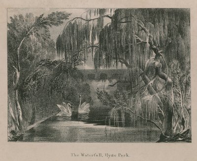 Der Wasserfall, Hyde Park, London von English School