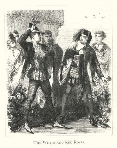 Die weißen und roten Rosen (Gravur) von English School