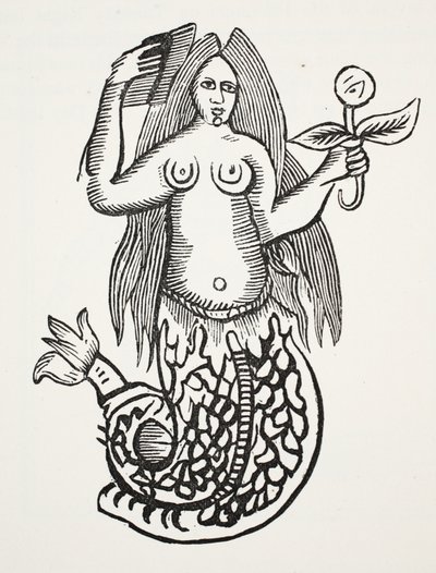 Das Wunder der Wunder, Illustration aus Chap-books of the Eighteenth Century von John Ashton, veröffentlicht 1882 von English School
