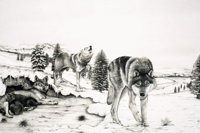 Die Welt der Natur: Der 