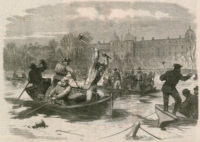 Das Unglück auf dem Eis im Regents Park; Den See nach den Toten absuchen von English School